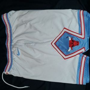 Nike bulls shorts
